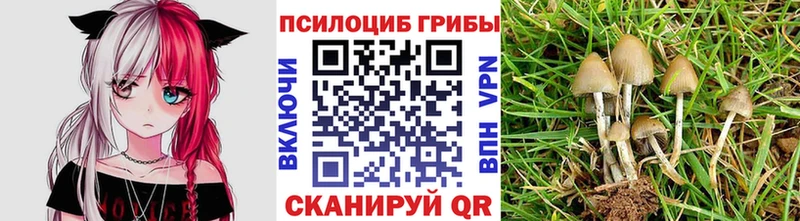 Галлюциногенные грибы Psilocybe Миньяр